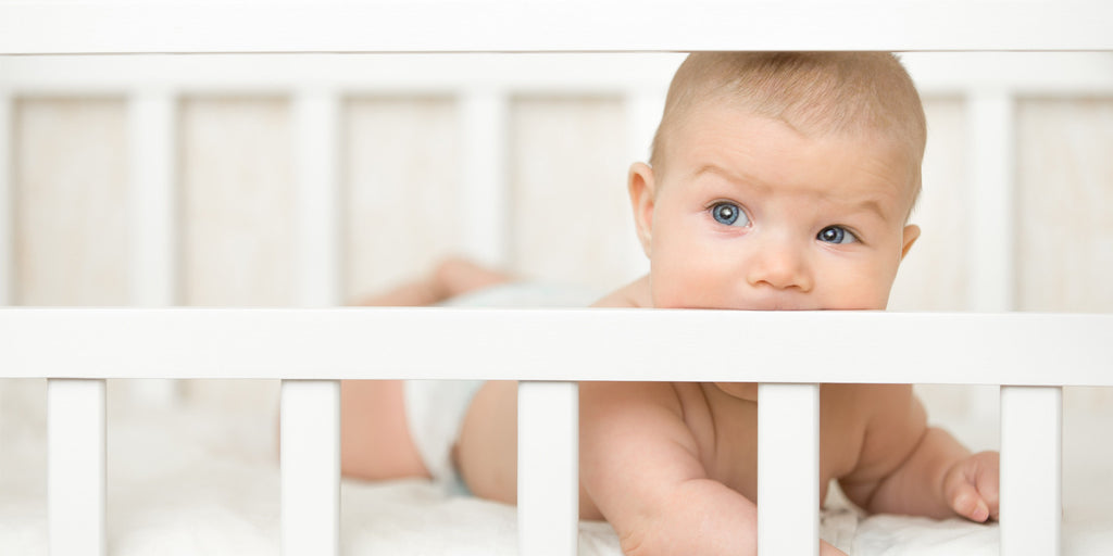Why Little Knights is the safest possible cot paint for your child
