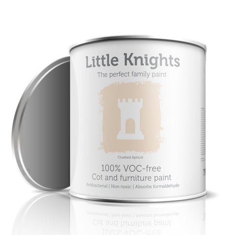 Crushed Apricot - Furniture paint - 100ml Sample Tin