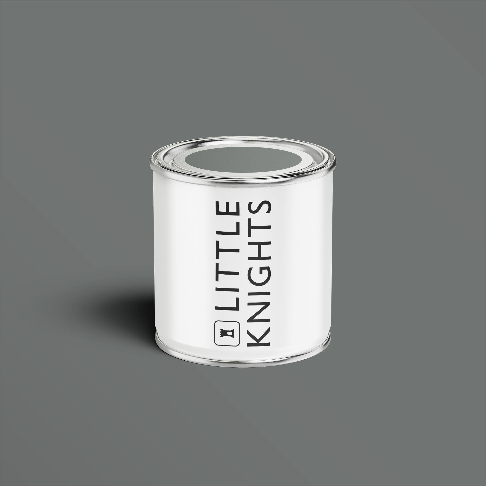 Flint Grey - 100ml Sample Tin