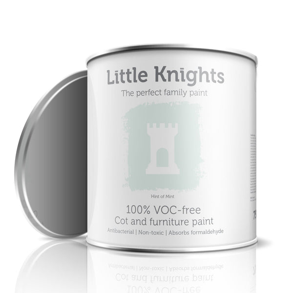 Hint of Mint - Furniture paint - 100ml Sample Tin