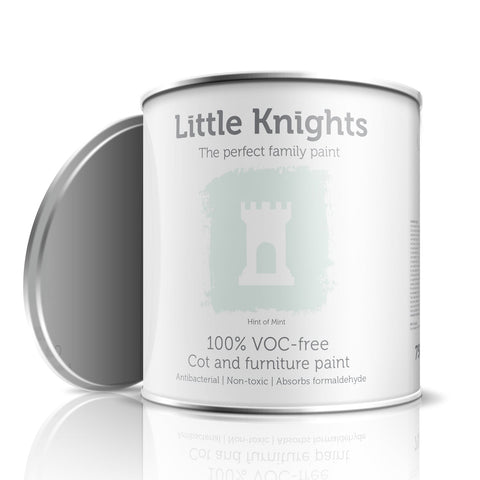 Hint of Mint - Furniture paint - 100ml Sample Tin