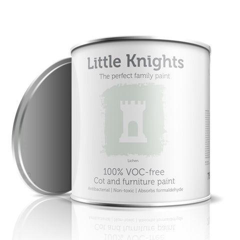 Lichen - Furniture paint - 100ml Sample Tin