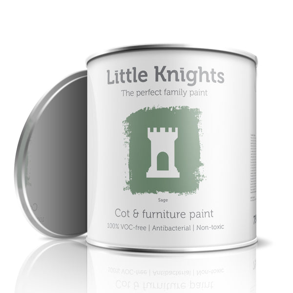 Sage - Furniture paint - 100ml Sample Tin