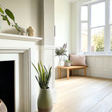 Odourless Gloss Paint - Pure White