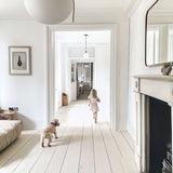 Pet friendly paint for walls and ceilings - white
