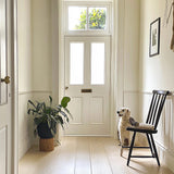 Pet Safe Gloss Paint - Pure White - Zero fumes
