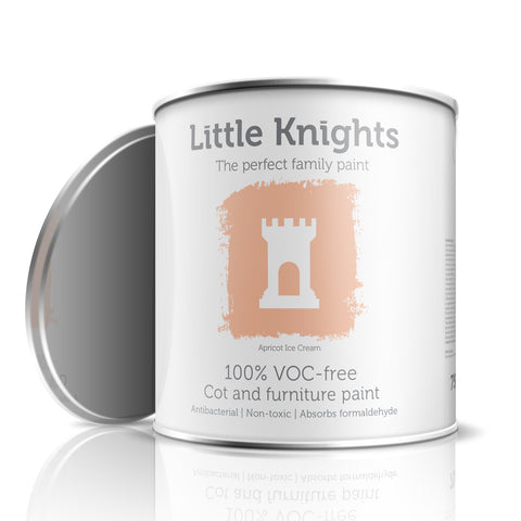 Apricot Ice Cream - Furniture paint - 100ml Sample Tin