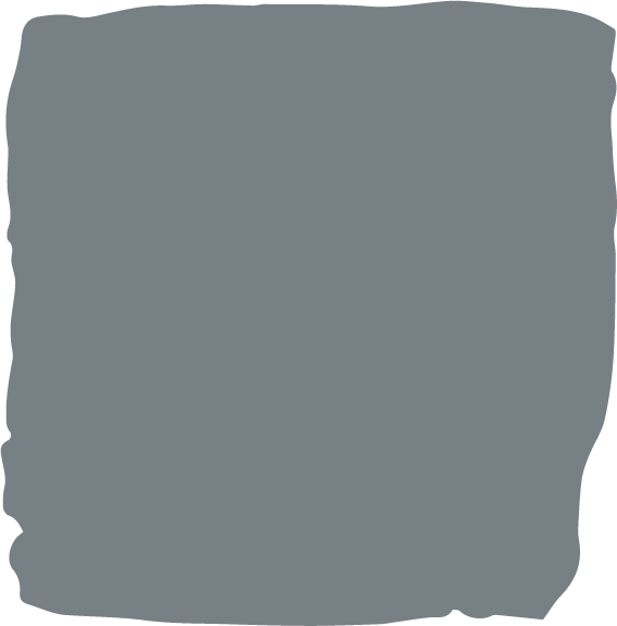 Coachman Grey