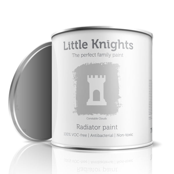 Constable Clouds - Radiator paint - 100ml Sample Tin