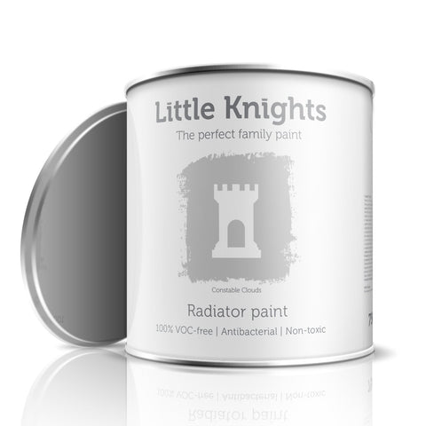 Constable Clouds - Radiator paint - 100ml Sample Tin