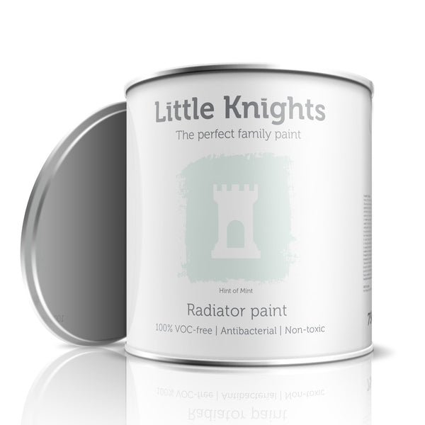 Hint of Mint - Radiator paint - 100ml Sample Tin