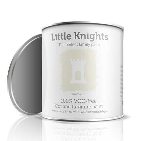 New Thatch - Furniture paint - 100ml Sample Tin