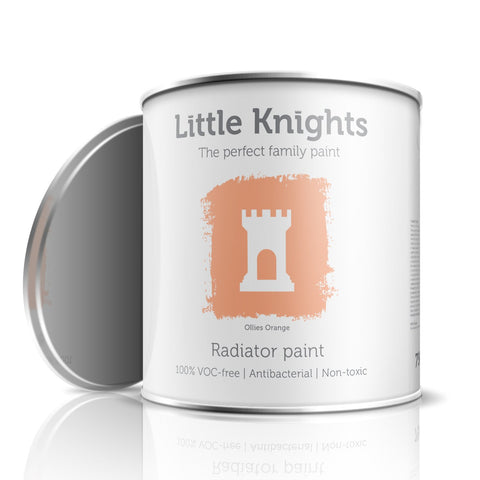 Ollies Orange - Radiator paint - 100ml Sample Tin