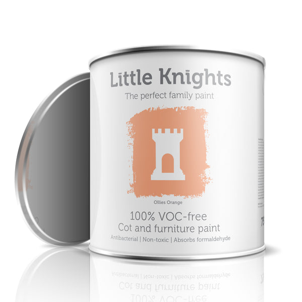 Ollies Orange - Furniture paint - 100ml Sample Tin