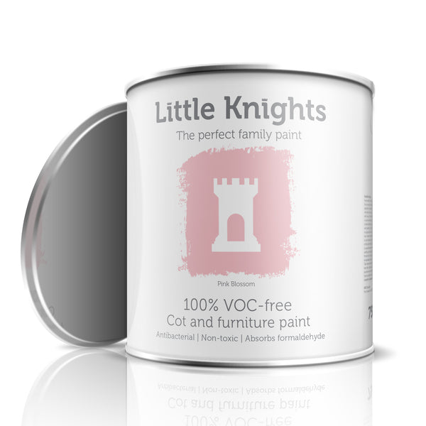 Pink Blossom - Furniture paint - 100ml Sample Tin
