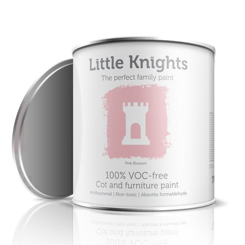 Pink Blossom - Furniture paint - 100ml Sample Tin