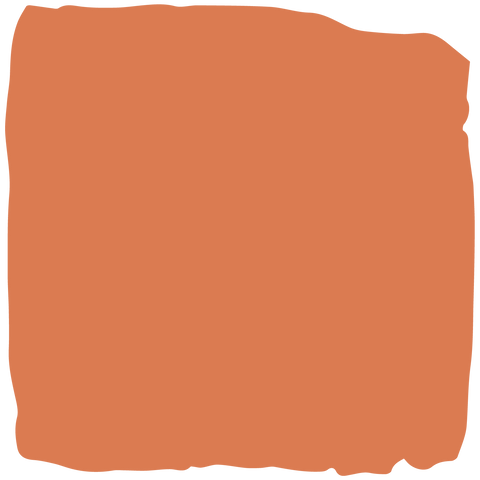 Pumpkin Pie