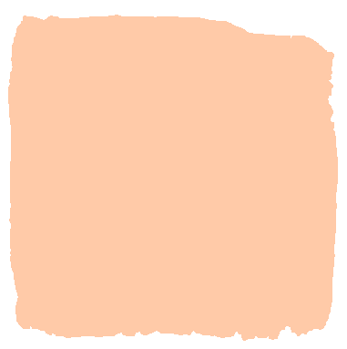 Beautiful soft apricot zero emission paint